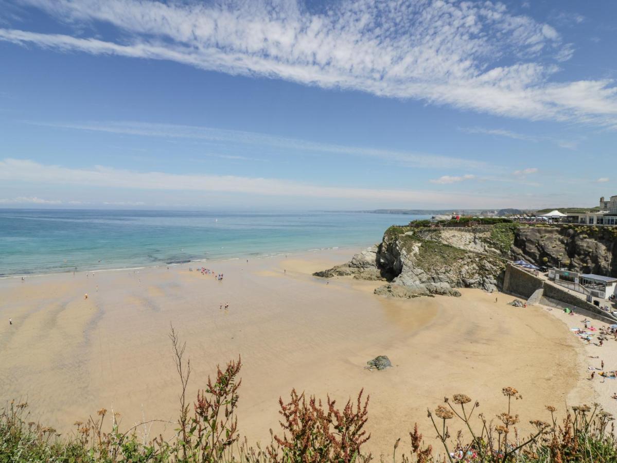 The Lookout Διαμέρισμα New Quay Εξωτερικό φωτογραφία